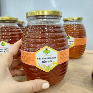 Mật ong Mùa hoa ban - Sản phẩm OCOP 4 sao